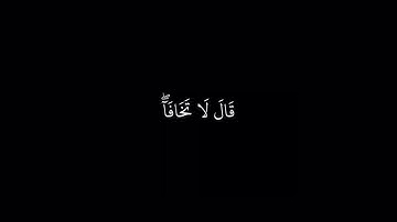 شاشة سوداء || سورة طه || شريف مصطفى