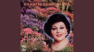 Del Keh Gonahi Nadareh - Hayedeh