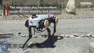 Robot bốn chân của Trung Quốc có thể chạy, leo cầu thang