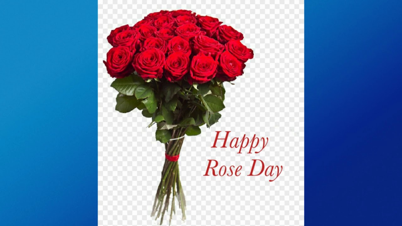 rose day 2019 quotes images