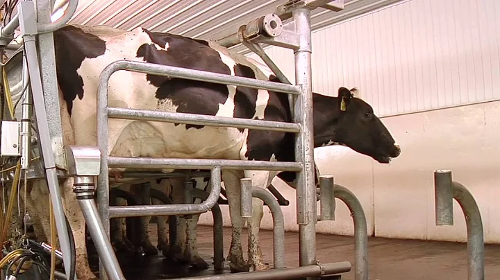Thelen's Riverview Dairy of Lyons Michigan