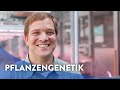 Wie kann man in die Gene von Pflanzen schauen?