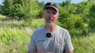 Habitat Hints - Invasive Plants