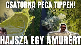 Hajsza egy amurért, amur és pontyhorgászat a csatornán! #fishing