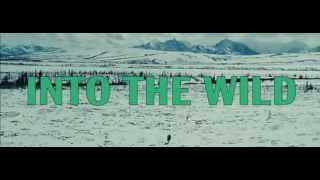 Jephza - Into the wild (video: Winay)