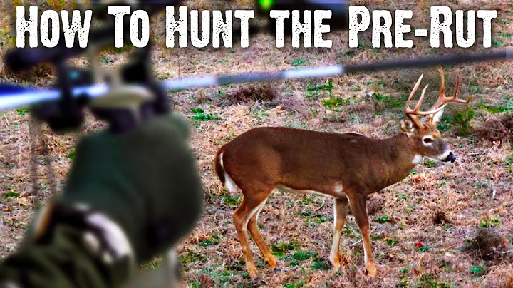 How to Hunt the Pre-Rut (840)