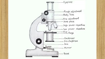 Easy Microscope Drawing | How to Draw Simple Microscope Diagram | How to Draw Compound Microscope