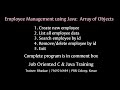 Java |Basic Employee Management | Program In Comment Box