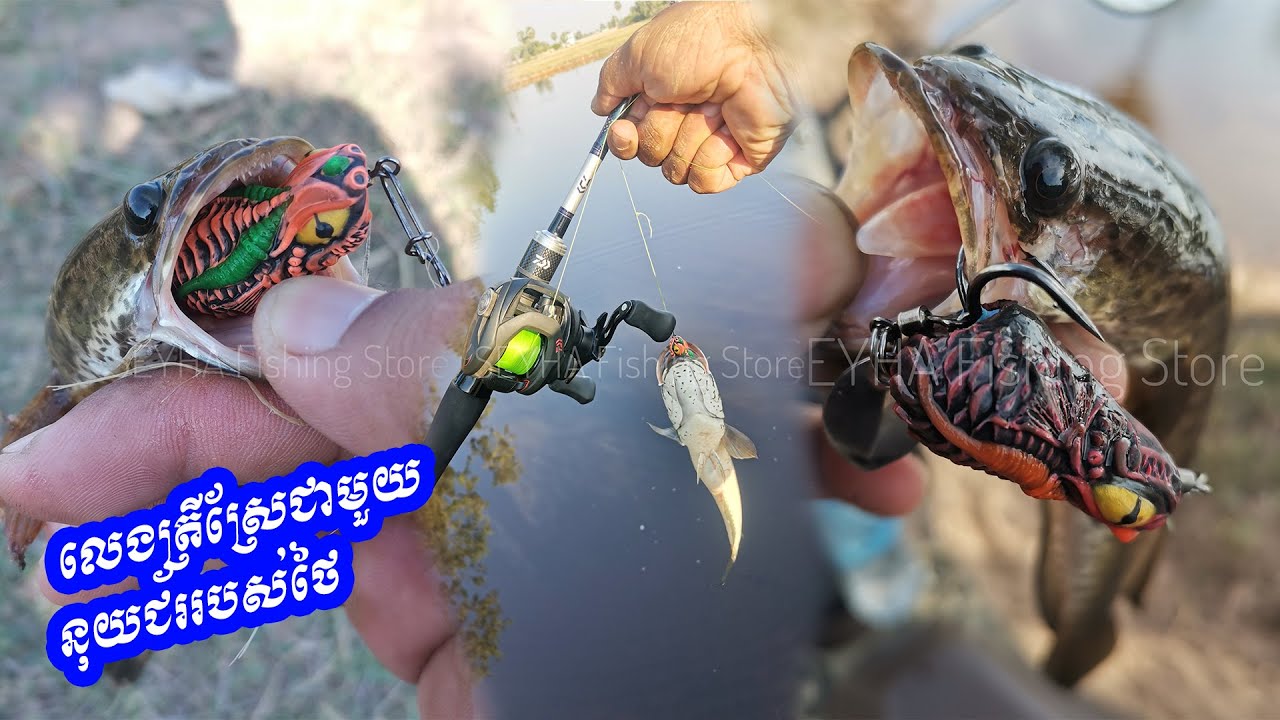 Snakehead Fish with SEYHA Fishing Thailand USA Lure | Snakehead Fish With USA Soft Frog Topwater