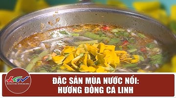 Đặc sản mùa nước nổi: hương đồng cá linh | Truyền hình Hậu Giang
