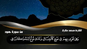 سورة هود |42-44| القارئ طارق محمد