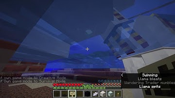 Wandering Trader Llama Spit/Attack Glitch