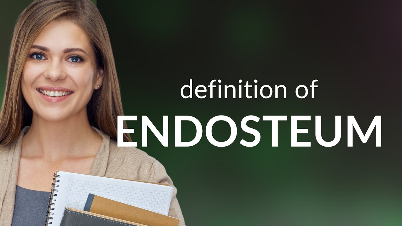 Endosteum — ENDOSTEUM definition