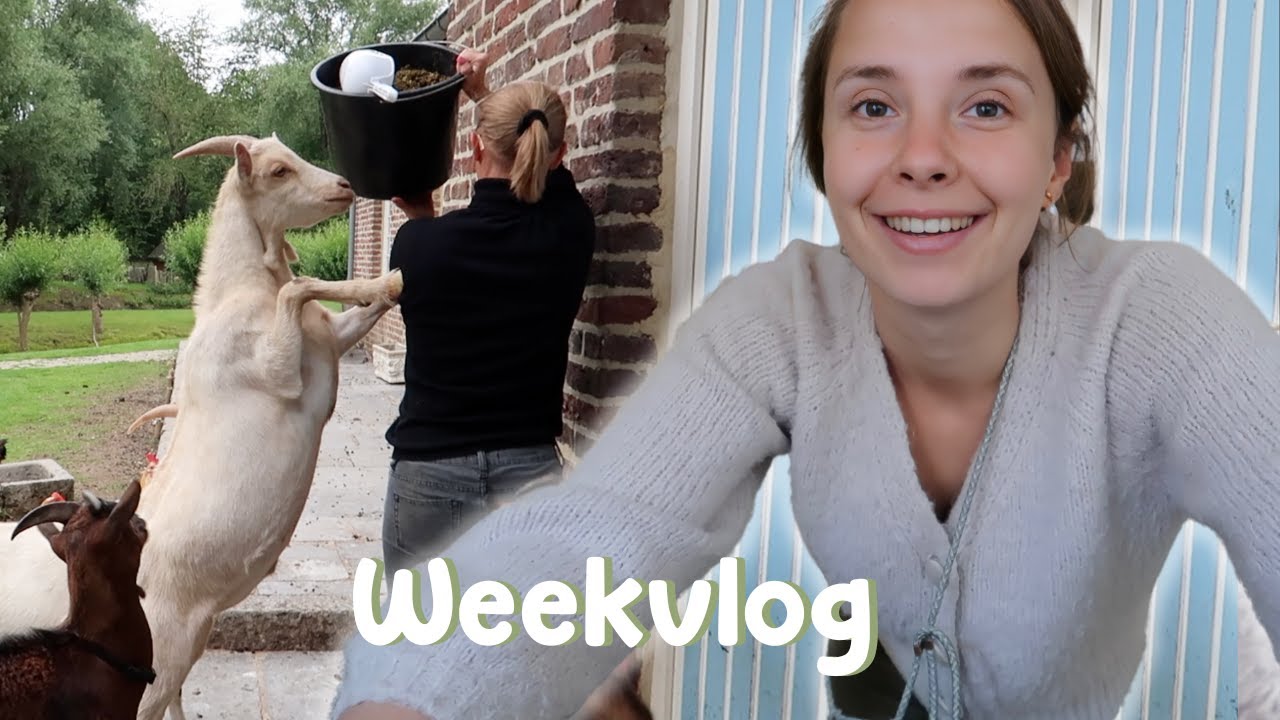 Dieren verzorgen, Kringloop shoppen & picknicks organiseren | WEEKVLOG