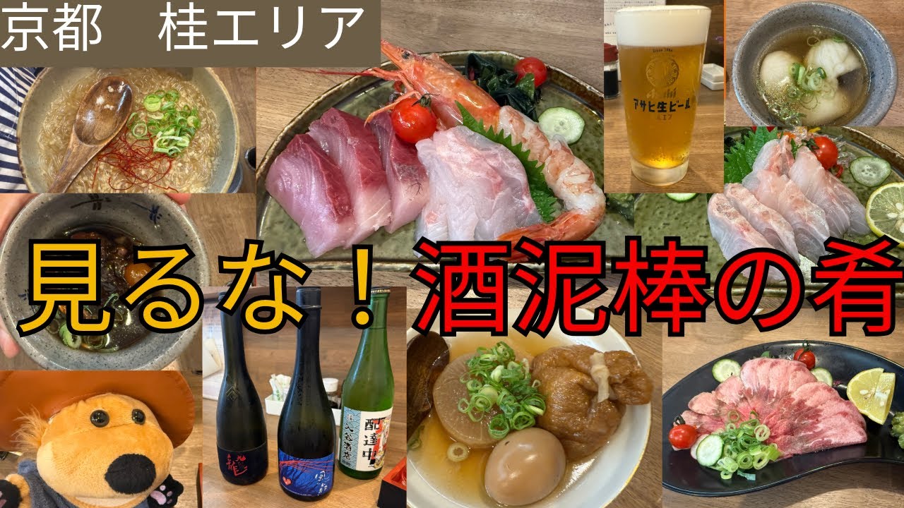 酒の肴 禁断】酒好き必見！酒泥棒な肴が勢ぞろいした結果… - YouTube