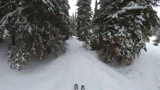 Whitefish, MT - Gloryhole, Hellroaring Basin - March 11, 2023