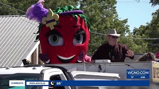 Strawberry Fest Saturday kicks off with parade