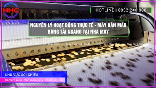 Model LY2 Nguyên Lý Hoạt Động Máy Bắn Màu Băng Tải Thực Tế Tại Nhà Máy