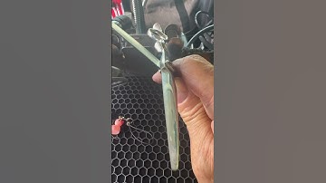 Immediately compare your sharpened scissors to the edges on a new shear.