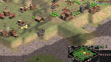 Mega Random ❗❗❗❗ || Age of Empires 2