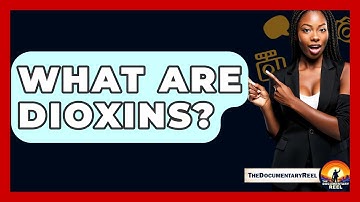 What Are Dioxins? - The Documentary Reel