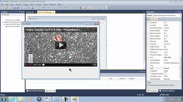 Visual Basic 2010 Express Tutorial 46 - Playing YouTube Videos With WebBrowser And Parameters