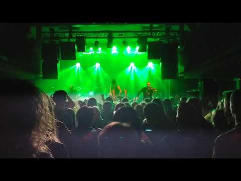 Hunter - iŻółć
