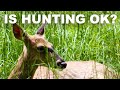 The ethics of hunting deer for meat