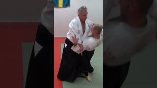 Aikido in slow motion: TENCHI NAGE against some strike and grab attacks, by Stefan Stenudd
