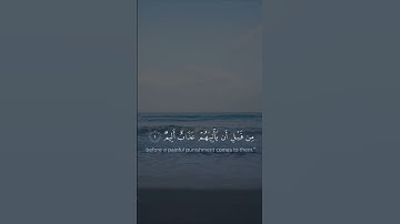 القارئ: ماهر المعيقلي السورة: نوح (1-4)