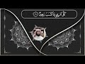 القارئ ياسر الزيلعي سورة الطور كامله من اجمل التلاوات القارئ ياسر الزيلعي سورة الطور كامله من اجمل التلاوات