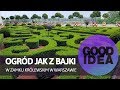Zobacz ogród jak z bajki w sercu Warszawy | GOOD IDEA