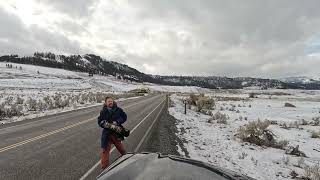 2026 Jan 5 - Yellowstone Northern Range 20X- Silver Gate To Gardiner In Winter, Via Lamar Valley