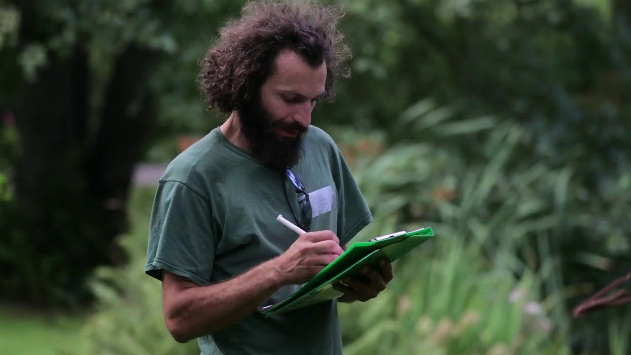 Nashville tree service and Arborists YouTube