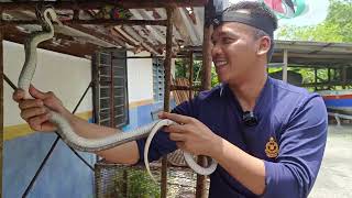 Spermatozoidlarning hayrati