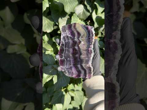 ОДИН У НАЯВНОСТІ! Зріз натуральний Флюорит інтер'єрний камінь 144х95х11мм 427г, видео 1