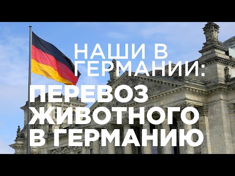 Поздние переселенцы.Как перевезти животное в Германию? Никаких проблем. Забираем любимцев с собой!