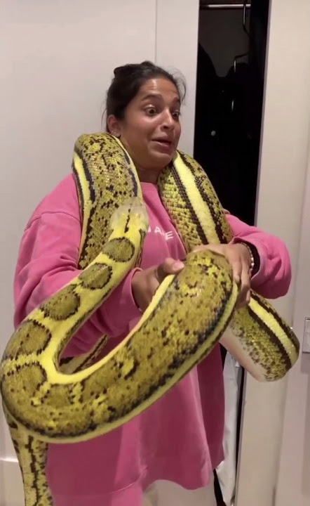 anaconda 🐍🐍😮😮#anaconda #snake #shorts #ytshorts #youtubeshorts #short #status #fyp