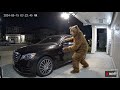 3 Sentenced in Bizarre Bear Suit Insurance Fraud Case