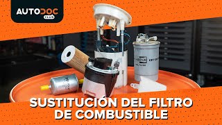Cómo quitar Filtro de Combustible SEAT