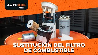 Cambiar Filtros de combustible gasolina y diesel con sus manos - vídeo en línea