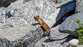 Backpacking the Eagle Cap Wilderness in Oregon : Mirror Lake & Eagle Cap
