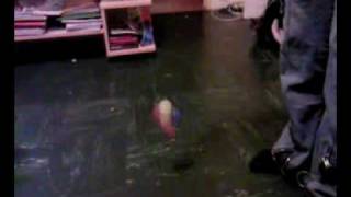 Diablotine En Train De Jouer