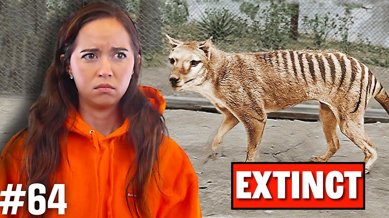 Talking About the LAST Animals of Their Species...