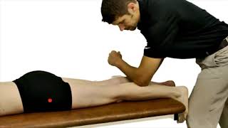 Physio U Teaser Achilles Physio U Teaser Achilles