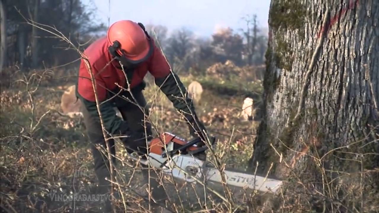 U poseti najvecem proizvodjaču buradi i bačvi Seguin Moreau (Francuska)