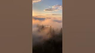 suara asli - rafaaldiansyah #short #tiktok #lyric