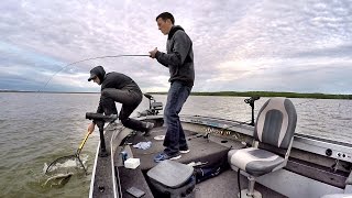 Bottom Bouncer Walleye
