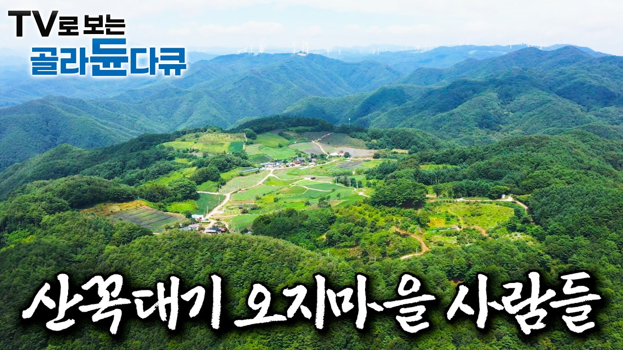 하늘과 맞닿아 있는 산꼭대기에 터전을 일구고 살아가는 사람들｜높고 메말라 농사짓기 힘들었던 거친 높드리 땅이 황금밭이 된 이유｜산골짜기 작은 오지 마을 주민들｜한국기행｜#골라듄다큐
