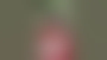 April 12 2025 